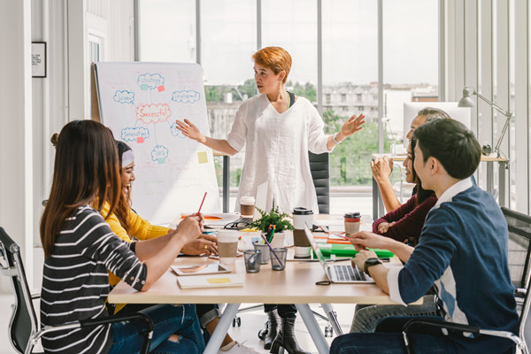 集團管控中的組織結(jié)構(gòu)優(yōu)化：原則、方法與實踐