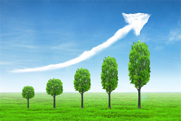 植樹就是植未來(lái)，對(duì)企業(yè)的戰(zhàn)略規(guī)劃有哪些啟示？