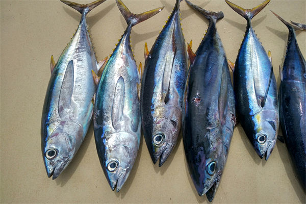 商務(wù)部：將幫助外貿(mào)企業(yè)擴(kuò)寬內(nèi)銷渠道，政策解讀！