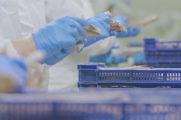 本土駐廠精益生產(chǎn)咨詢哪家強，能快速提升產(chǎn)線流轉(zhuǎn)效率么？