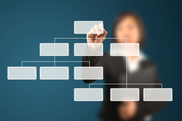 哪家組織規(guī)劃咨詢公司落地最好，能搭建適配發(fā)展的組織體系？